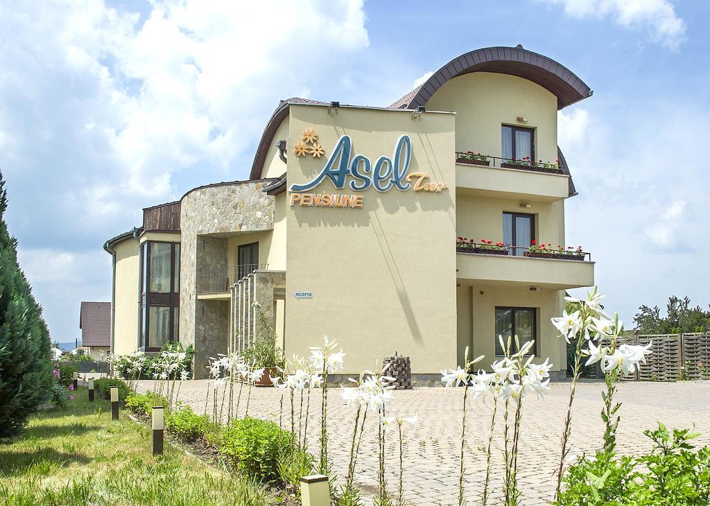 Aseltur Brasov Hotel Luaran gambar